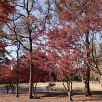 太平洋クラブ＆アソシエイツ益子コースレストラン - 