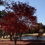 太平洋クラブ＆アソシエイツ益子コースレストラン - 