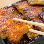 Unagi Kazutomo - 