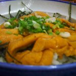 水産食堂 - うに丼・・アップ
