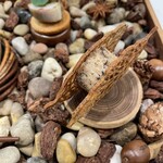 レストラン ラ・フロレゾン・ドゥ・タケウチ - リエットを木の葉のチュイールで挟んだもの