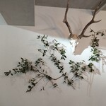 Guarda il cielo italiano - 