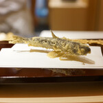 Shibuya Tempura Fujimoto - 