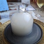 ベンガルタイガー - オタオタローズ提供時①