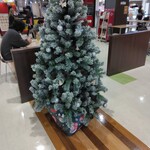 せんだこや イオンモール日根野店 - クリスマスツリー