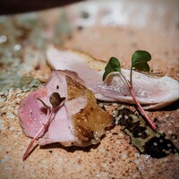 YAKITORI 燃 es - 430日飼育ニューハンプシャー種の胸肉と、押岡地鶏の腿肉。見るからに艶めかしく、頂けば、その香高さ、弾力ある滑らかさ、溢れる旨みに気を失いそうなスタートでした ♡ こんな美味しい鶏って有る～っ？？