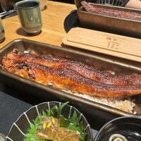 うなぎ四代目菊川 ムスブ田町店 -  うなぎ四代目菊川 ムスブ田町店 -