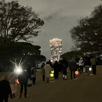 カープ - 新宿御苑ライトアップ。富久町のタワーマンション。