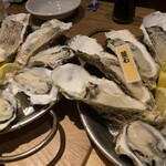 OYSTERS,INC. - 