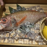 のどぐろ専門 銀座 中俣 - 