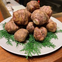 スガラボヴィー - 