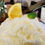 埜庵 - 和らぐ柑きつ(たまごとみるく＊バニラVer)④