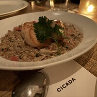 CICADA - 