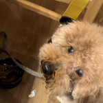 ガーデンリゾート淡路島 ハナアンドキッス - 