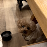 ガーデンリゾート淡路島 ハナアンドキッス - 