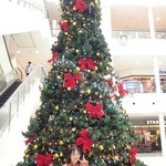 とんかつ和幸 - イオンモール川口前川店のクリスマスツリー