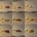 北新地 すし通 - 