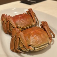 潮夢来 - 