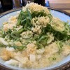 杵屋麦丸 - かけうどん、ネギ、揚げ玉