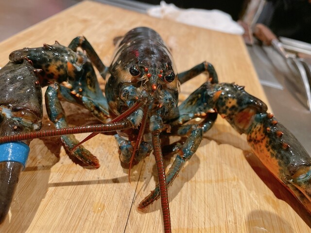 Teppan Izumi Sankai photo 5