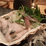 藤家 - 北海道　仙鳳趾産（せんぽうしさん)　生牡蠣さつまポン酢：950円