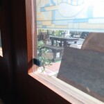 シャンティ - 玄関左横のテーブル席には日が差し込んで来ます。