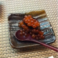 寛龍 - 
