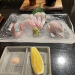 地魚料理・鮨 佐々木 - 