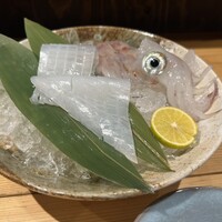 鯖とか烏賊とか真とか - 