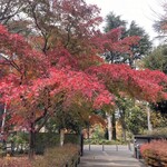 むさしの エン座 - 