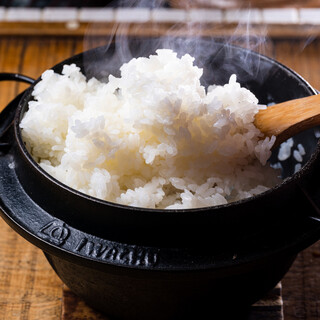 Freshly cooked Koshihikari