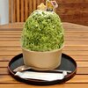 かき氷 白熊堂