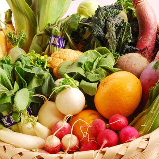 彩り豊かな地元の鎌倉野菜