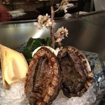 あざみ野うかい亭 - 