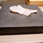 島津 - クエ（天草）