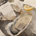 Emit Fish Bar Oyster And Grill - 