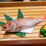 のどぐろ専門 銀座中俣 はなれ - のどぐろ♡