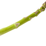 asparagus