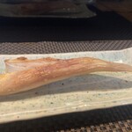 Fuji Zushi - 