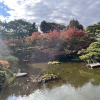 ステーキハウス リブルーム - 