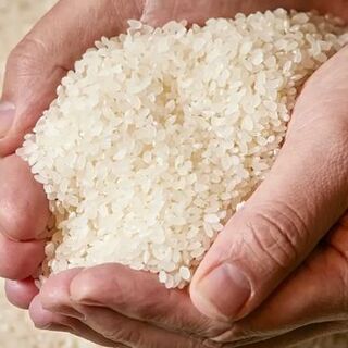 お肉以外の素材にも徹底したこだわりを。