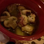 マチェレリーアディタケウチ - 