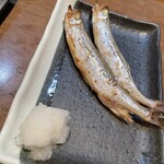 浜焼酒場 いちかわ - 