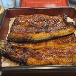 Unagi Chigusa - 