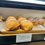 セテュヌ ボンニデー - 