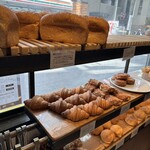 セテュヌ ボンニデー - 