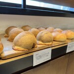 セテュヌ ボンニデー - 