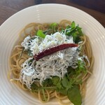 オーシャン ハーベスト ココモ - 