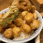 稲庭うどんとめし 金子半之助 コレド室町店 - 