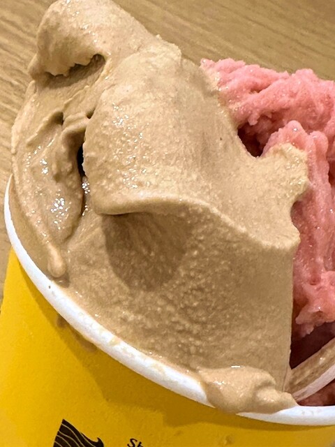 湘南スパイスジェラート ヒサ （Shonan Spice Gelato Hisa） - 平塚